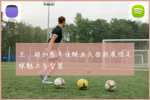 王燊超如陈年佳酿历久弥新展现足球魅力与智慧