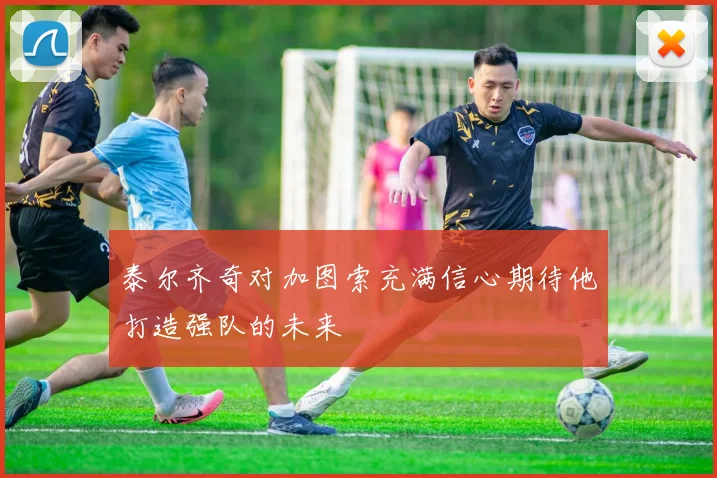 泰尔齐奇对加图索充满信心期待他打造强队的未来