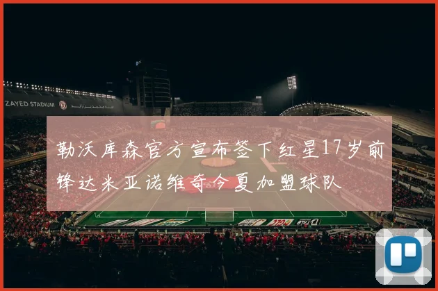勒沃库森官方宣布签下红星17岁前锋达米亚诺维奇今夏加盟球队
