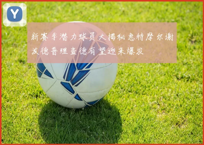 新赛季潜力球员大揭秘惠特摩尔谢泼德普理查德有望迎来爆发
