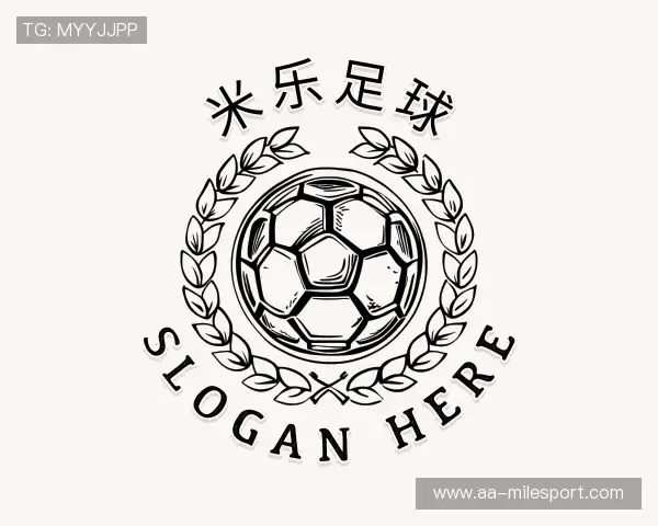 介绍米乐体育平台